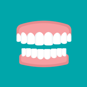 Midland Bay Dental Services -