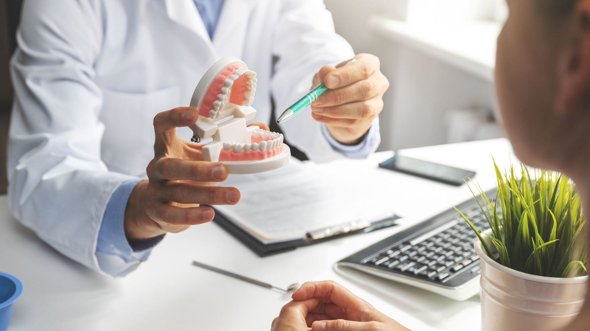 Dentist consultation - widsom teeth removal and recovery tips from Midland Bay Dental.